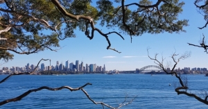 A view of Sydney Harbour across the water from Bradley's Head.